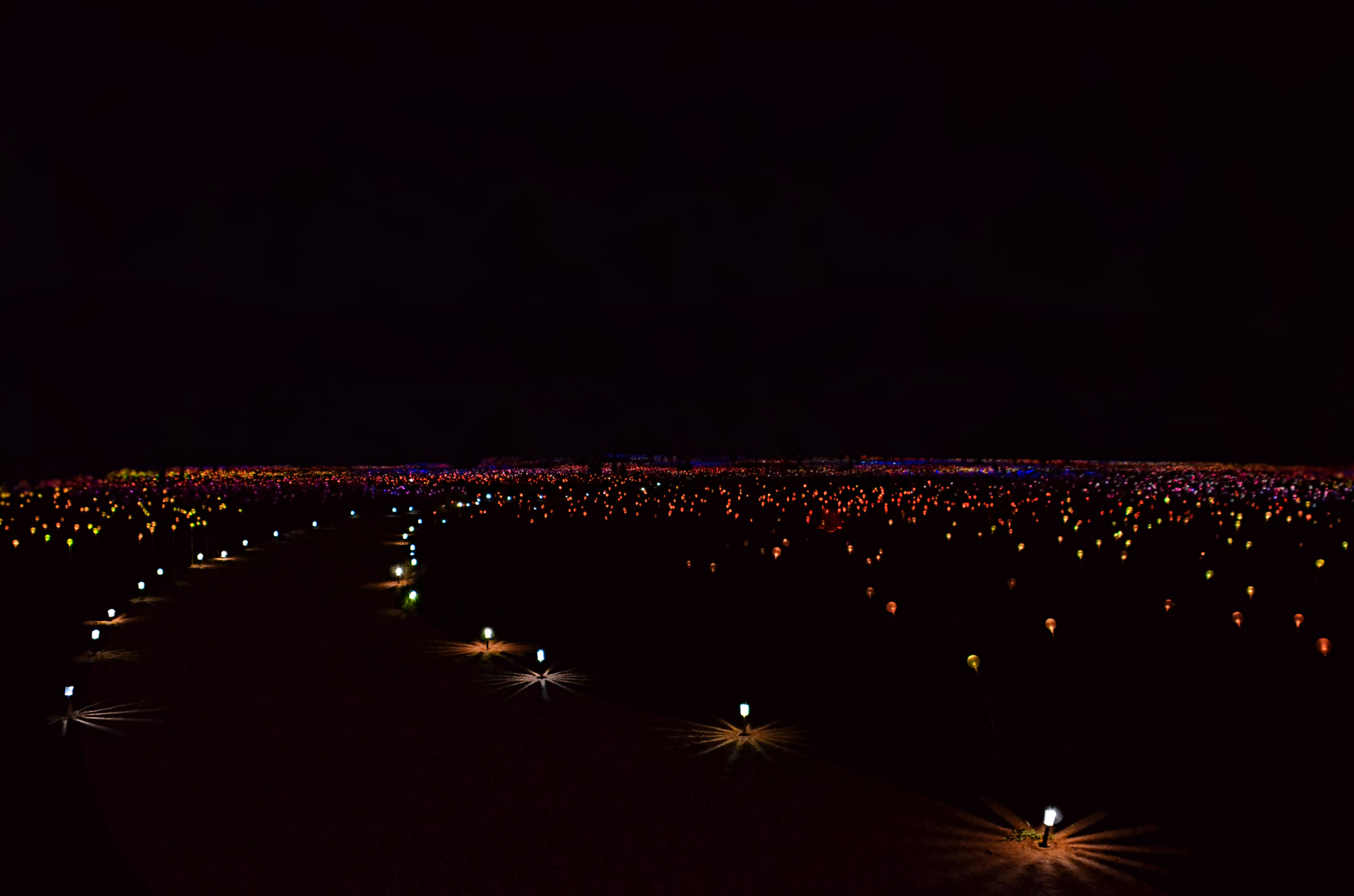 Field of Light