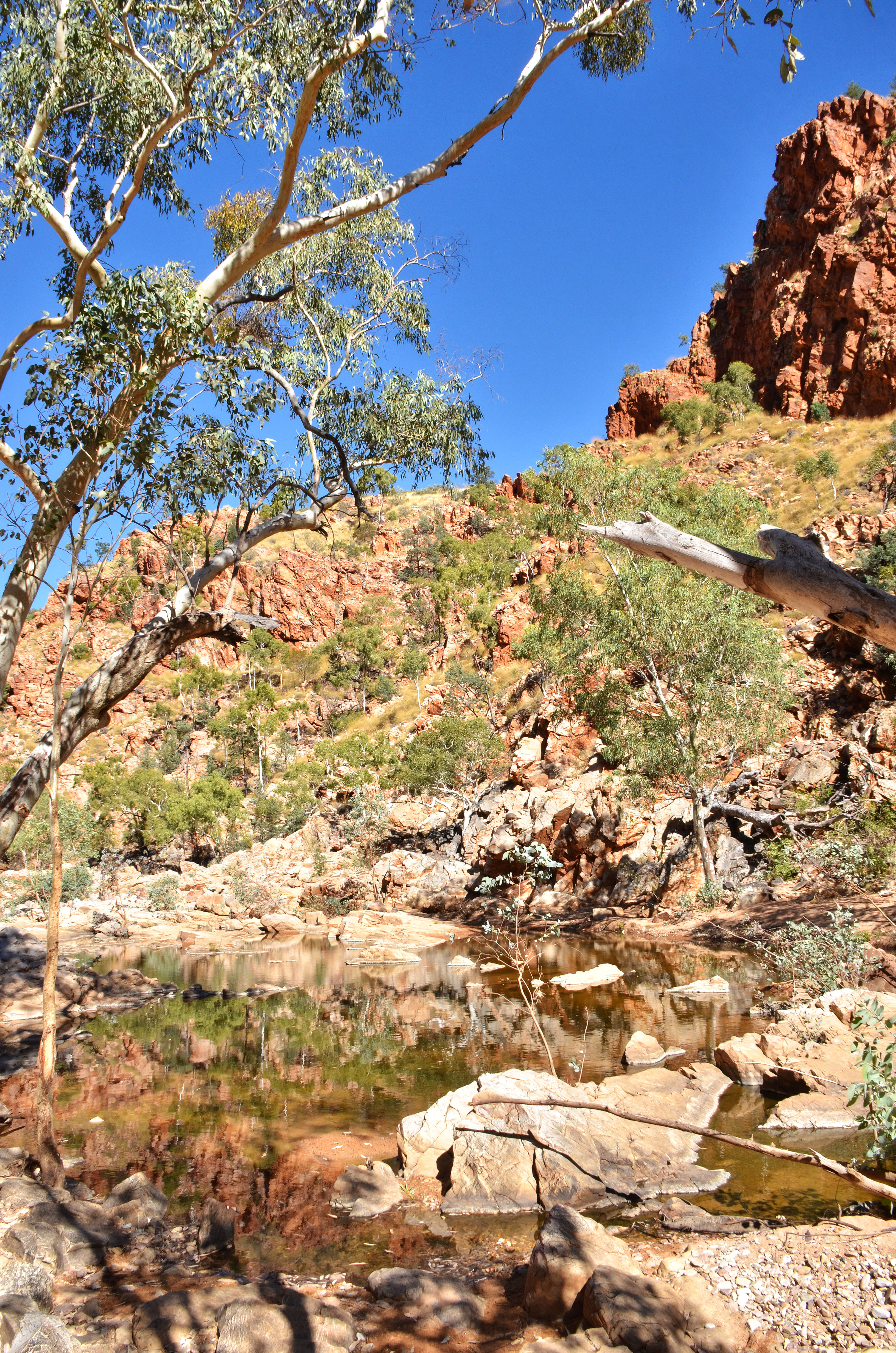Redbank Gorge